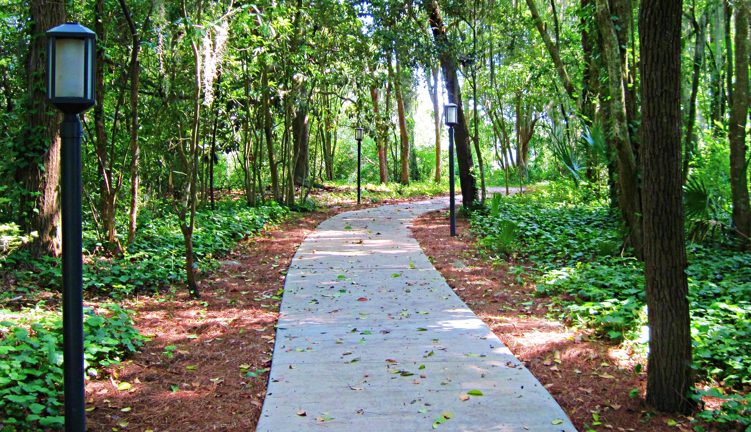 Pathway between the main house and staff offices at the Burr Cottage