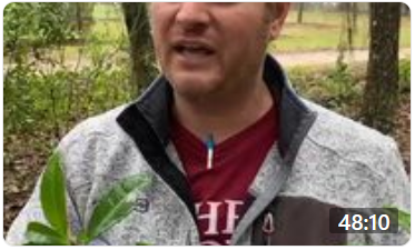Nature Walk, Feb. 18, 2021