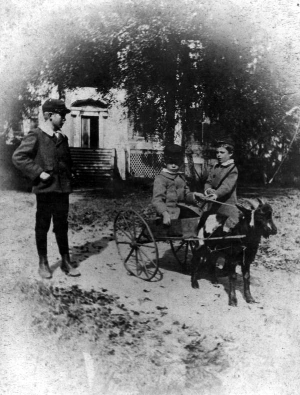 Three of Ellen Call Long's grandchildren with a goat cart at The Grove, ca. 1890.